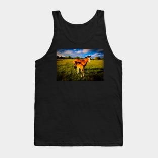 Mother and Foal#2 Tank Top